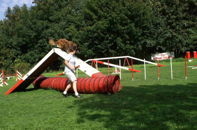 agility 2011-08